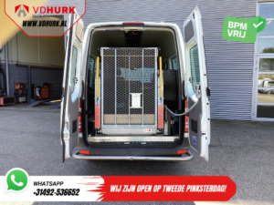 Mercedes-Benz Sprinter Passenger Transport 313 2.2 CDI L2H2 €10,164 Incl. VAT BPM FREE! TYLKO EKSPORT Kombi/ 9 osób/ Kombi/ 9P/ Airco/ Winda dla wózków inwalidzkich